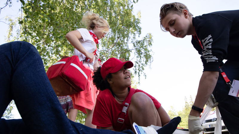 Utredning av brottslig bakgrund hos frivilliga som arbetar med barn