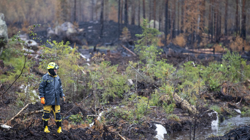 Bistånd i hemlandet